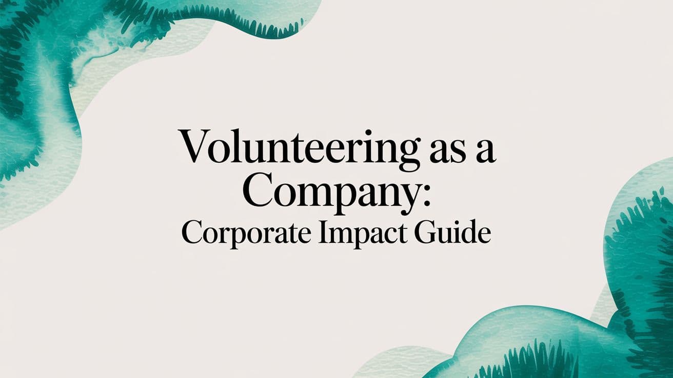 Volunteering as a Company: Corporate Impact