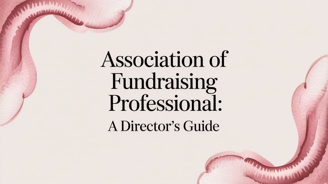 Association of Fundraising Professionals Guide